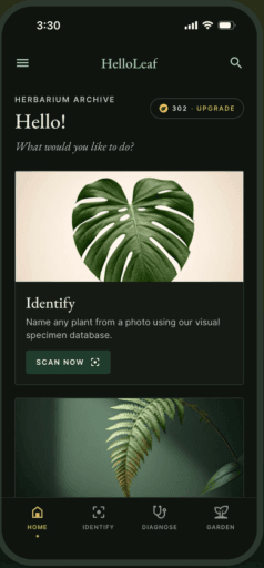 HelloLeaf app